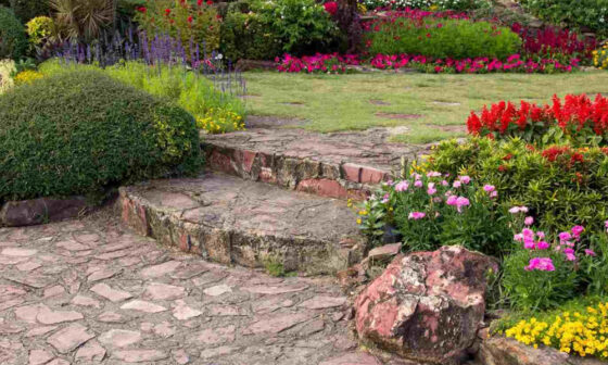 Hardscaping vs Softscaping