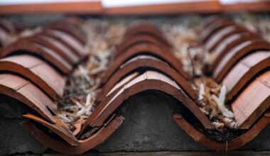 How to Compare Roofer Quotes Without Hidden Costs