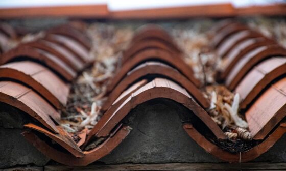 How to Compare Roofer Quotes Without Hidden Costs