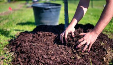The Benefits of Organic Mulch for Sustainable Gardening