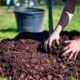 The Benefits of Organic Mulch for Sustainable Gardening