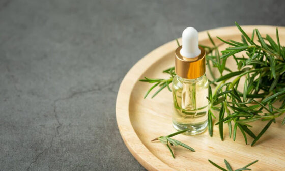 The Importance of Sourcing in Herbal Medicine