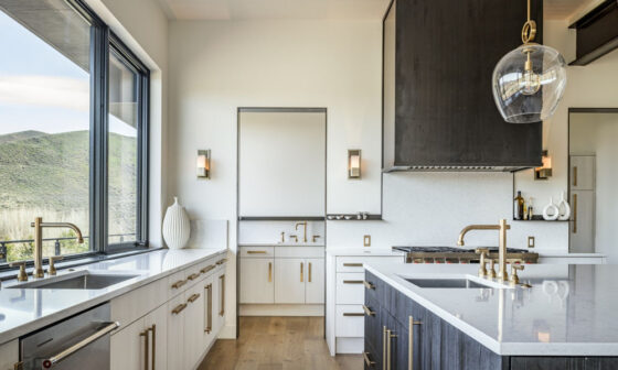 Architectural Hardware Choices for Minimalist Homes
