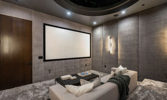 Custom Home Theatre Experience