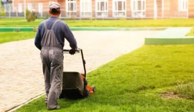 Essential Tips for Keeping Business Lawns Healthy and Visually Appealing