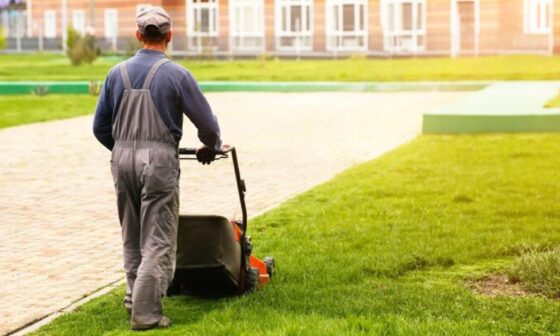 Essential Tips for Keeping Business Lawns Healthy and Visually Appealing