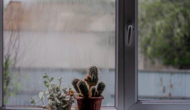 How Humid Weather Can Damage Your Home and What to Do About It