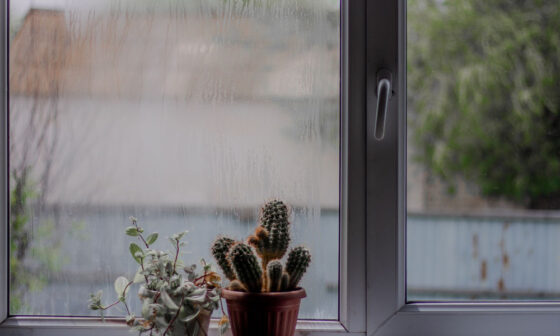 How Humid Weather Can Damage Your Home and What to Do About It