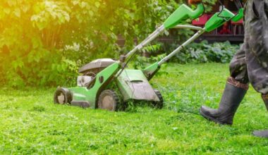 How to Keep Your Outdoor Space Green Throughout the Year