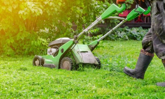 How to Keep Your Outdoor Space Green Throughout the Year