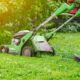 How to Keep Your Outdoor Space Green Throughout the Year