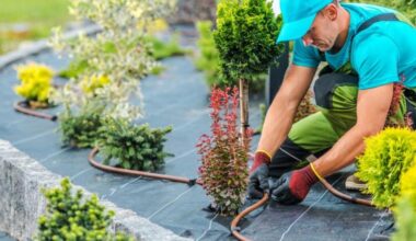 Key Services to Make Your Outdoor Areas More Inviting and Enjoyable