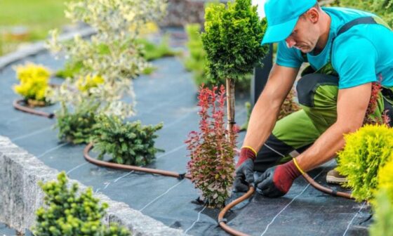 Key Services to Make Your Outdoor Areas More Inviting and Enjoyable