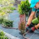 Key Services to Make Your Outdoor Areas More Inviting and Enjoyable