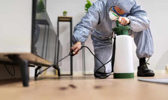 Pest Free All Year