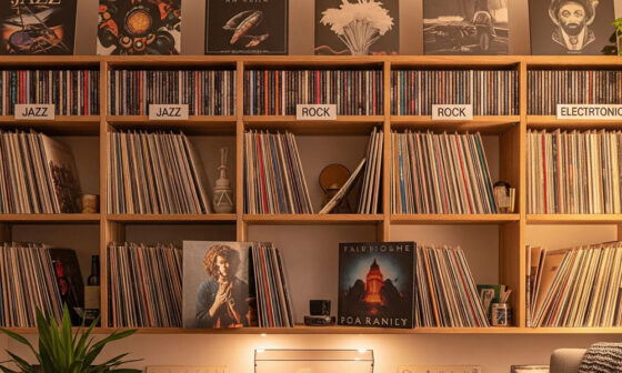 The Benefits of Vinyl Storage Solutions