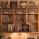 The Benefits of Vinyl Storage Solutions