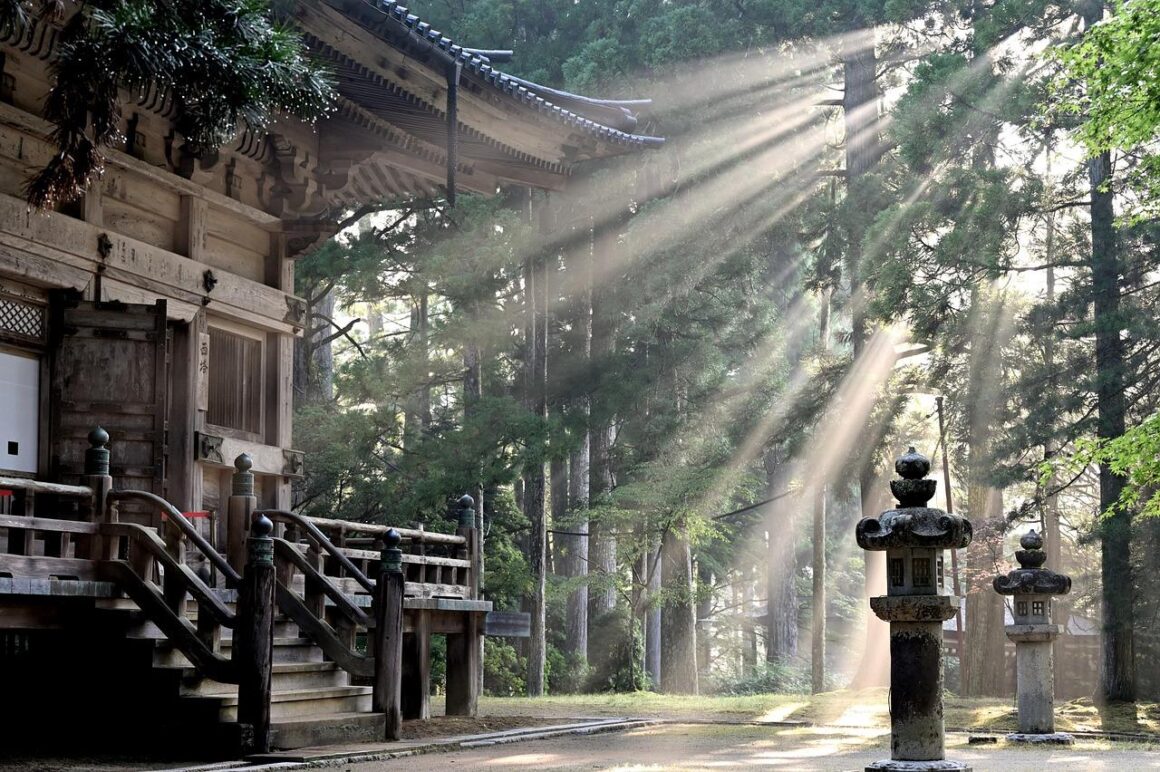 The Rise of Community Focused Living in Japans Rental Market