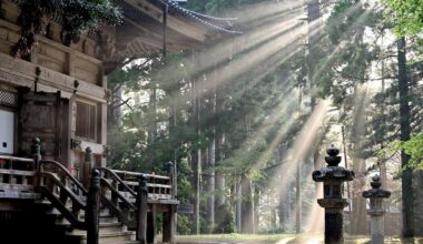 The Rise of Community Focused Living in Japans Rental Market