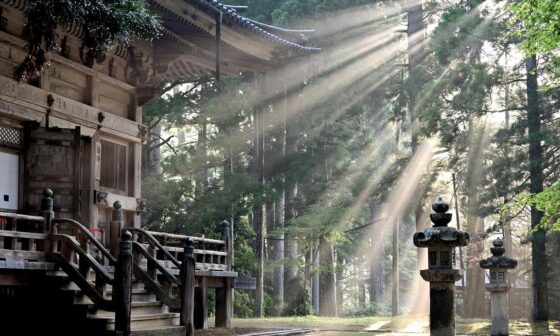 The Rise of Community Focused Living in Japans Rental Market