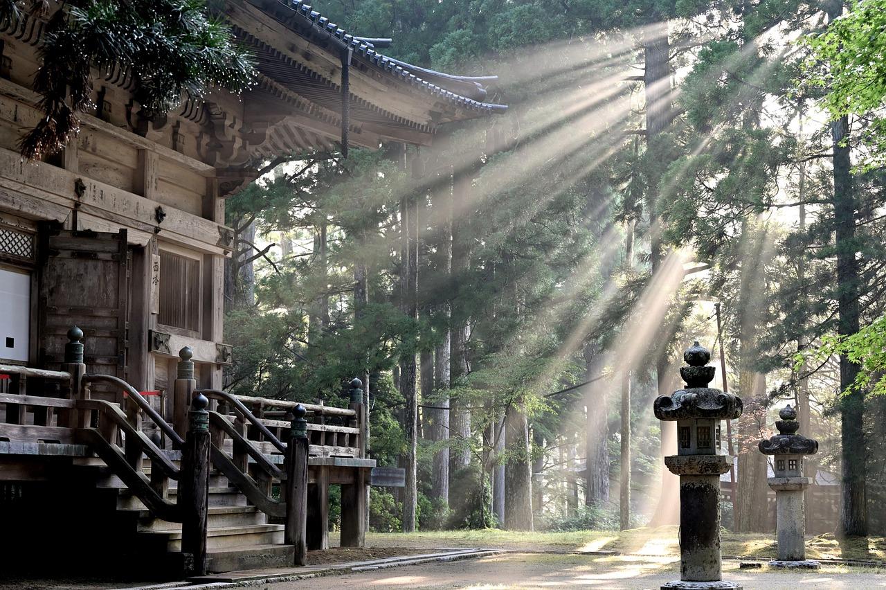 The Rise of Community Focused Living in Japans Rental Market