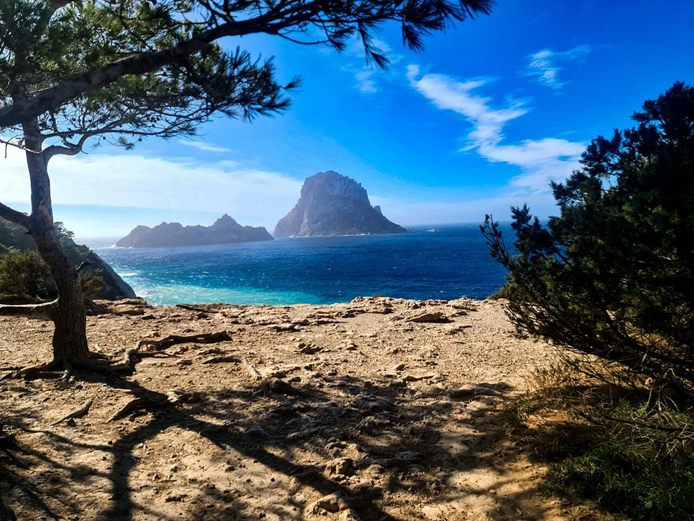 Unveiling Ibizas wild side