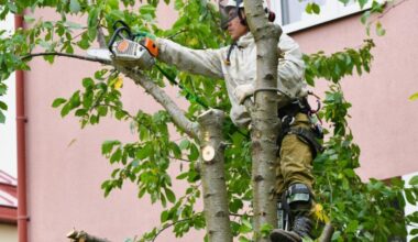 Ways to Keep Your Yard Green Healthy and Attractive
