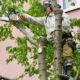 Ways to Keep Your Yard Green Healthy and Attractive