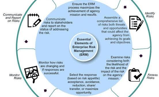 Data Driven Risk Management How Digital Platforms Track Risk and Respond to It