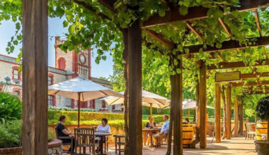 Exploring the Best Wineries in Barossa Valley