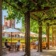 Exploring the Best Wineries in Barossa Valley