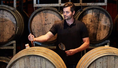 Exploring the Unique Flavors of Pipers Brook Winery