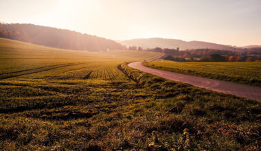 The Quiet Investment Power Of Owning Productive Land