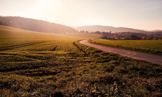 The Quiet Investment Power Of Owning Productive Land