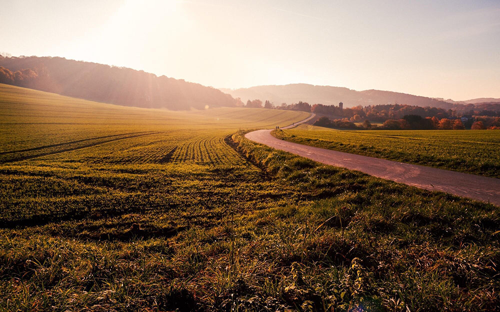 The Quiet Investment Power Of Owning Productive Land