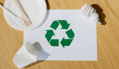 The Role of Sustainable Practices in Modern Business
