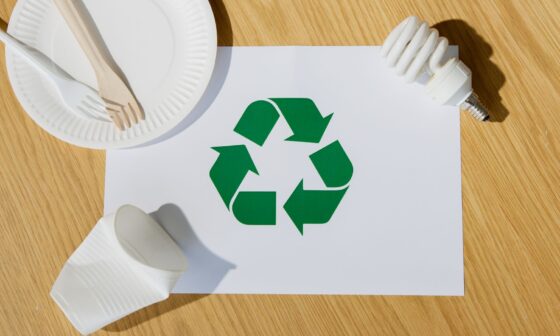 The Role of Sustainable Practices in Modern Business