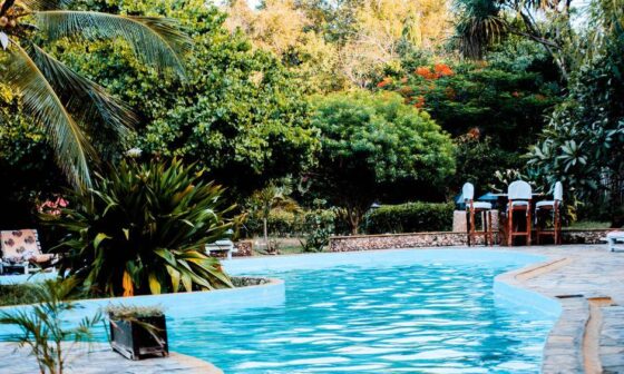 What to Know Before Adding a Pool to Your Backyard