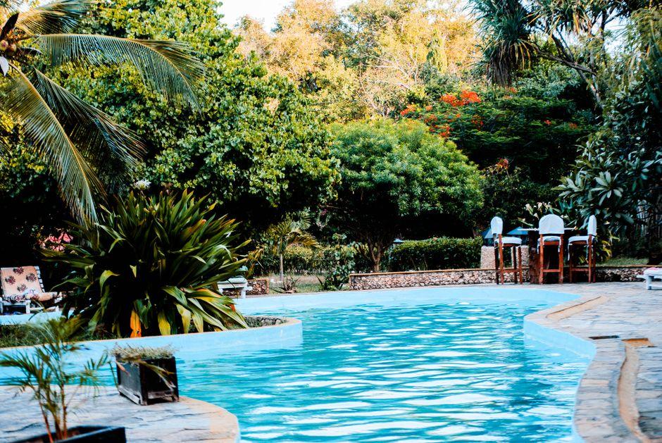 What to Know Before Adding a Pool to Your Backyard