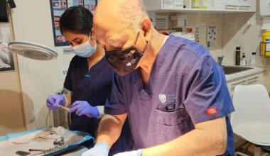 A Complete Guide to Circumcision Services in Melbourne