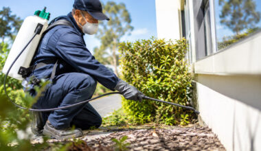 Effective Pest Control Services in Southern Highlands