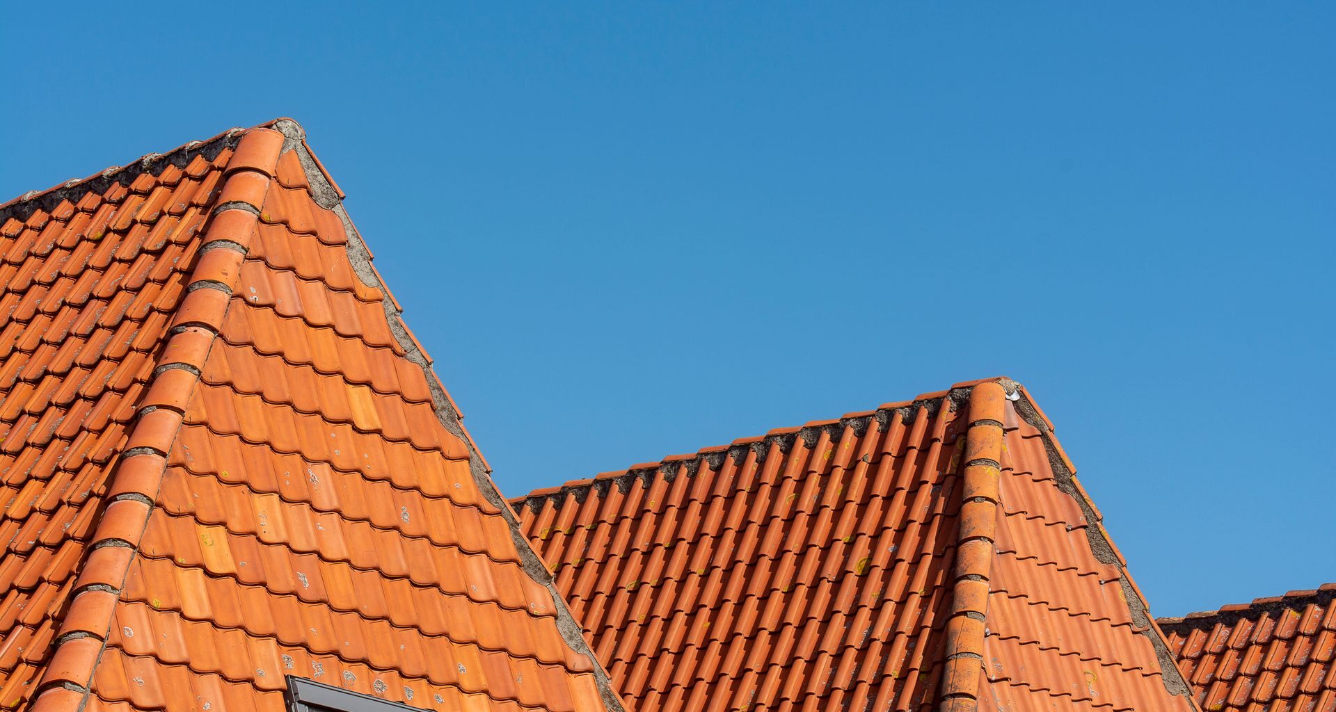 How to Spot and Address Roof Damage