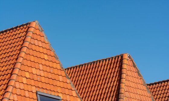 How to Spot and Address Roof Damage