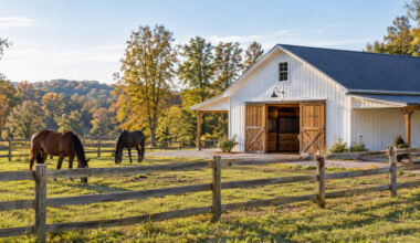 Buying a Horse Property Before Year End Comes With a Catch
