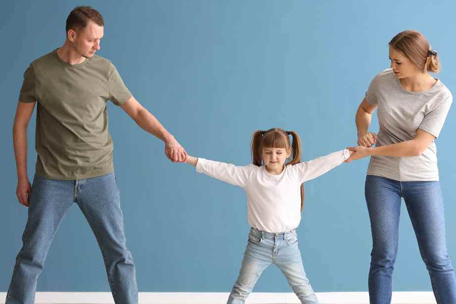 How Family Courts Approach Complex Custody and Support Determinations