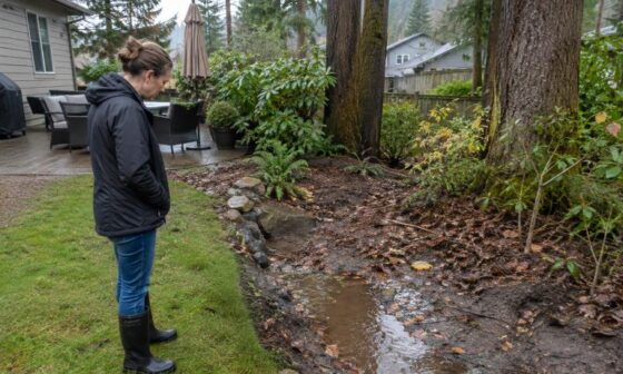 How To Plan A Functional Low Maintenance Outdoor Space In Woodinville Washington