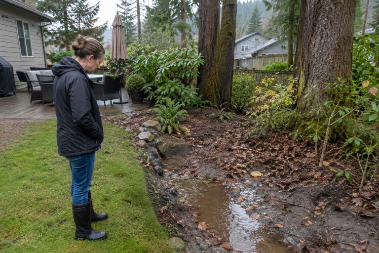 How To Plan A Functional Low Maintenance Outdoor Space In Woodinville Washington