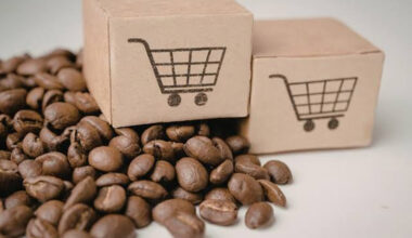 Pros and Cons of Purchasing Coffee Beans Wholesale