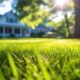 Why Some Lawns Seem to Stay Green All Summer